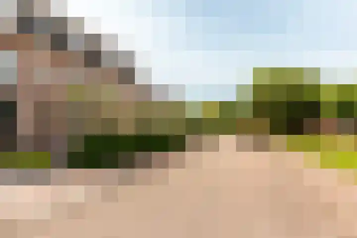 Smutslaan 21 Ermelo thumbnail 32