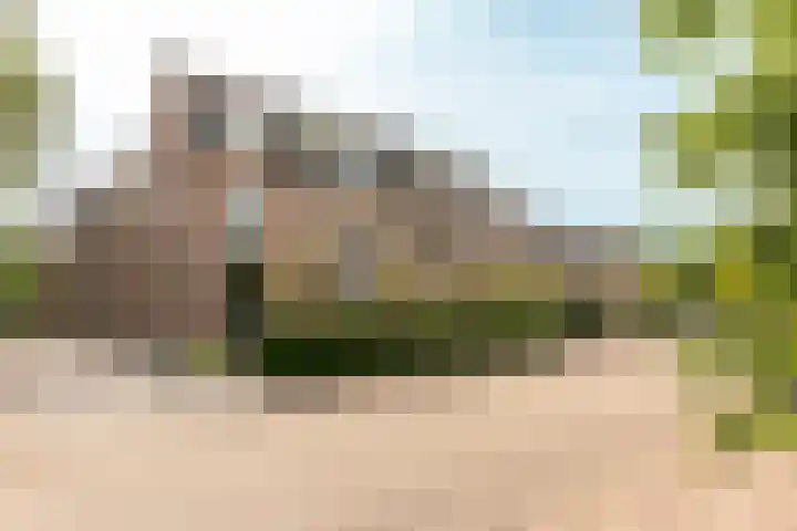 Smutslaan 21 Ermelo thumbnail 33