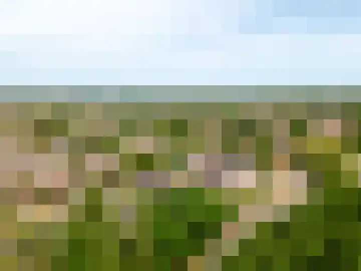 Smutslaan 21 Ermelo thumbnail 39