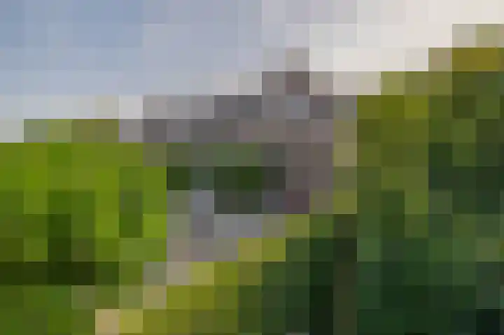 Smutslaan 23 A Ermelo thumbnail 20