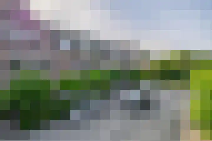 Smutslaan 23 A Ermelo thumbnail 21