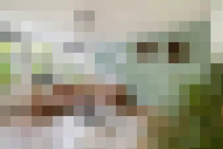 Smutslaan 23 A Ermelo thumbnail 7