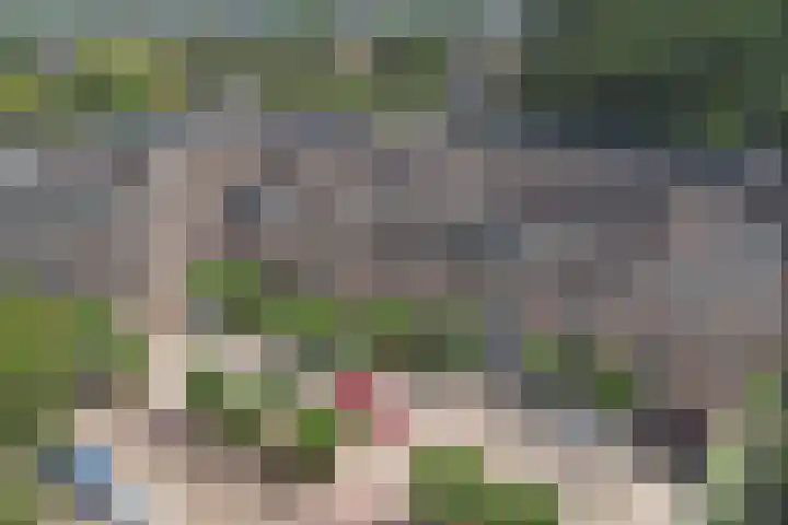 Smutslaan 31 A Ermelo thumbnail 30