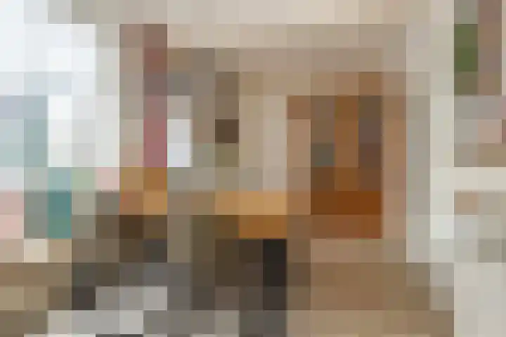 Smutsstraat 17 Vaassen thumbnail 9