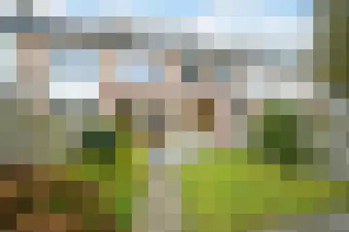 Smutsstraat 22 Breda thumbnail 29