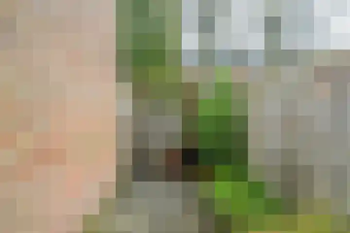 Smutsstraat 22 Breda thumbnail 31