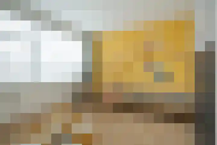 Smutsstraat 22 Breda thumbnail 33