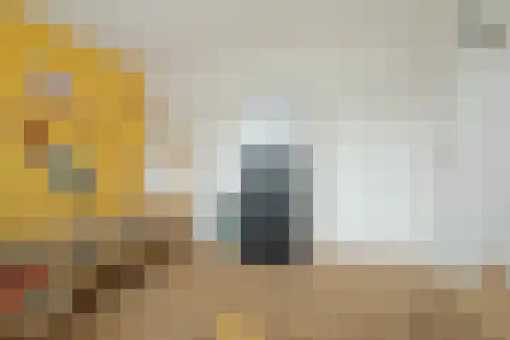 Smutsstraat 22 Breda thumbnail 34
