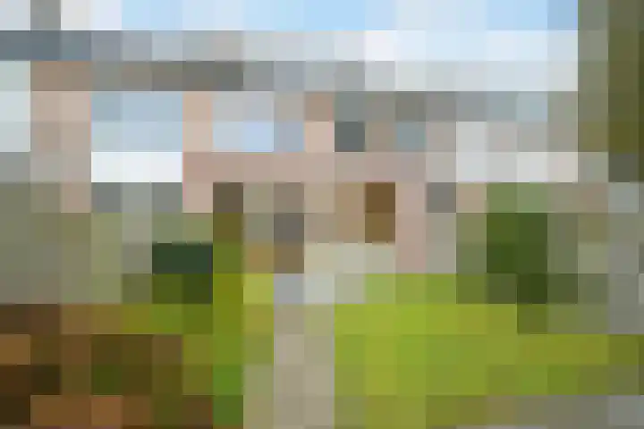 Smutsstraat 22 Breda thumbnail 5