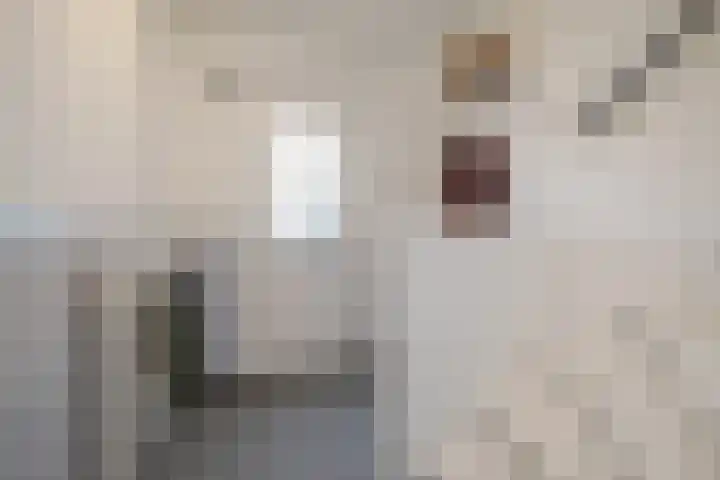 Smutsstraat 22 Breda thumbnail 9