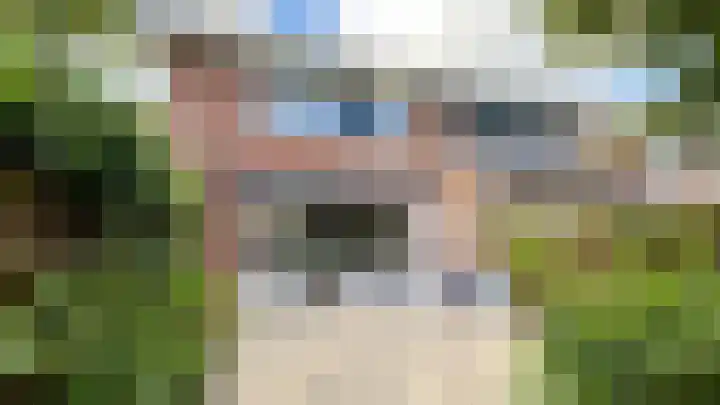 Snaveldolfijn 6 Naaldwijk thumbnail 15