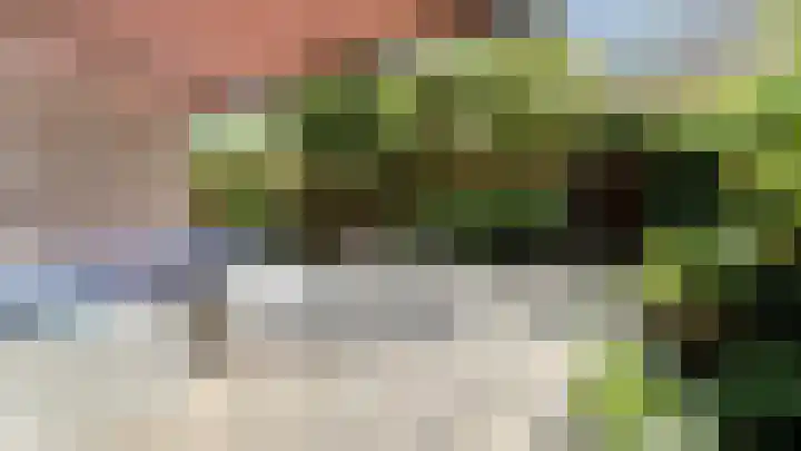 Snaveldolfijn 6 Naaldwijk thumbnail 16
