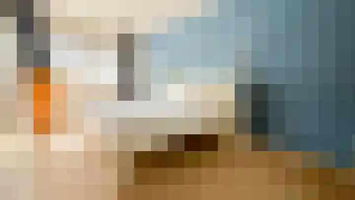 Snaveldolfijn 6 Naaldwijk thumbnail 17