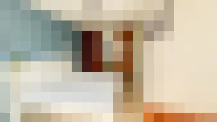 Snaveldolfijn 6 Naaldwijk thumbnail 19