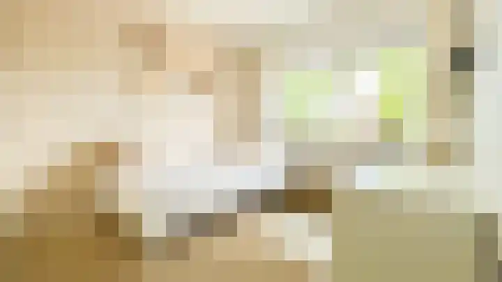 Snaveldolfijn 6 Naaldwijk thumbnail 22