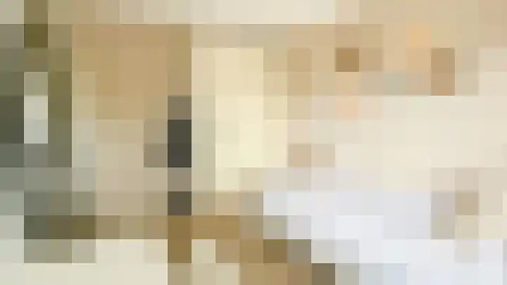 Snaveldolfijn 6 Naaldwijk thumbnail 24