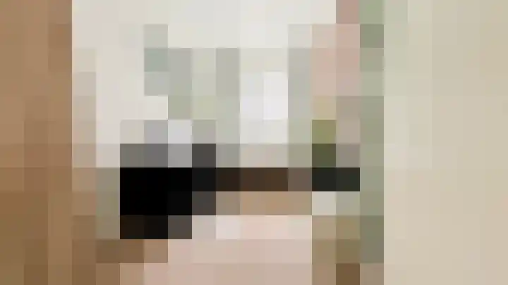 Snaveldolfijn 6 Naaldwijk thumbnail 25