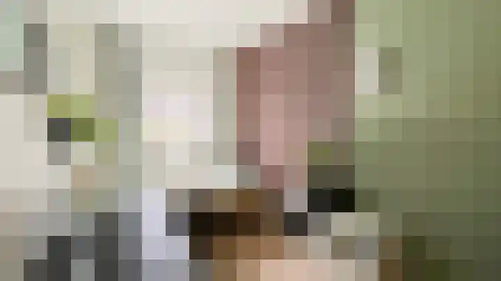 Snaveldolfijn 6 Naaldwijk thumbnail 26