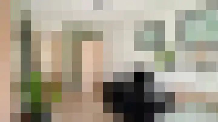 Snaveldolfijn 6 Naaldwijk thumbnail 27