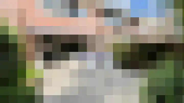 Snaveldolfijn 6 Naaldwijk foto 3