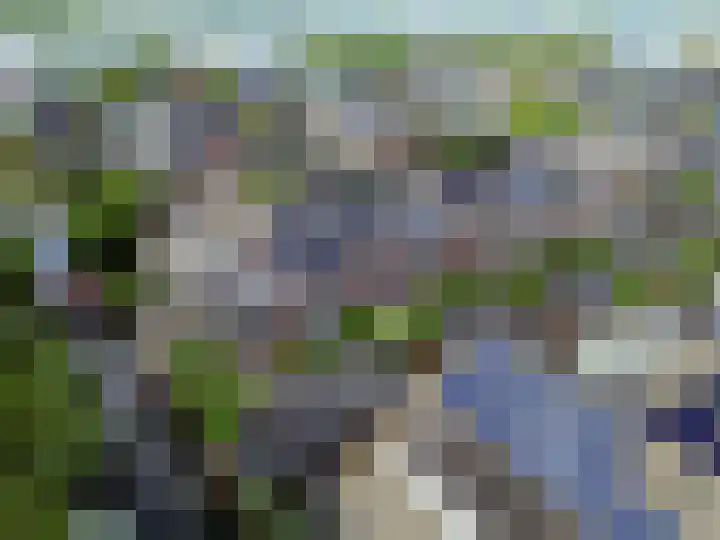Snaveldolfijn 6 Naaldwijk thumbnail 37