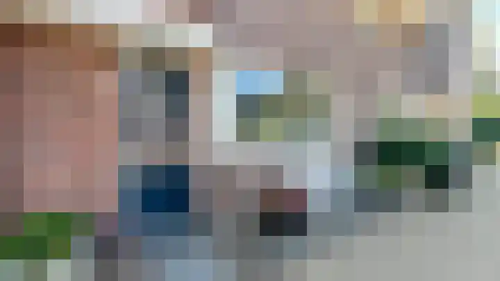 Snaveldolfijn 6 Naaldwijk thumbnail 4