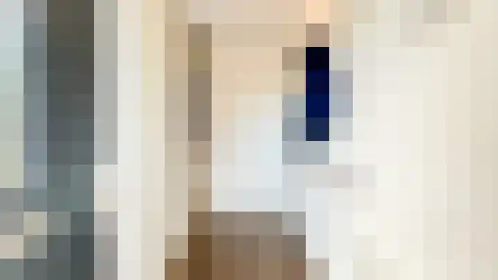 Snaveldolfijn 6 Naaldwijk thumbnail 5