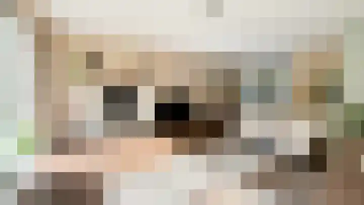 Snaveldolfijn 6 Naaldwijk thumbnail 7