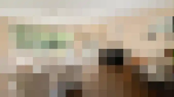 Snaveldolfijn 6 Naaldwijk thumbnail 8