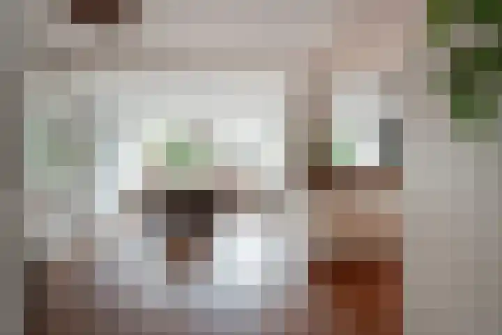 Sneekpad 30 Arnhem thumbnail 14