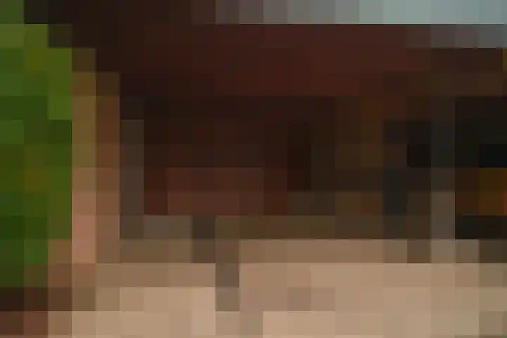 Sneekpad 30 Arnhem thumbnail 29