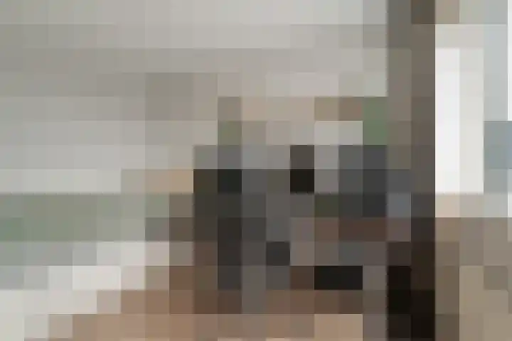 Sneekpad 30 Arnhem thumbnail 35