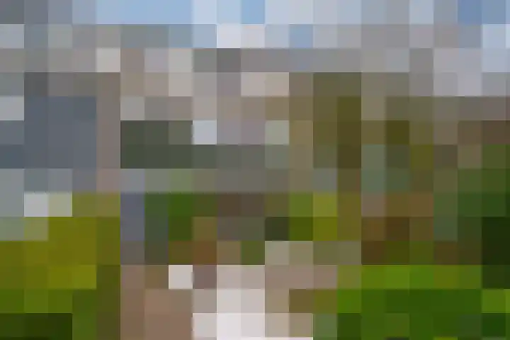 Sneekpad 30 Arnhem thumbnail 55