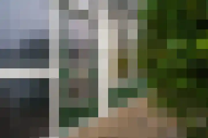 Sneekpad 30 Arnhem thumbnail 6