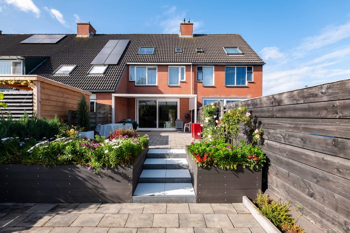 Sneeuwbal 18 in Hellevoetsluis foto