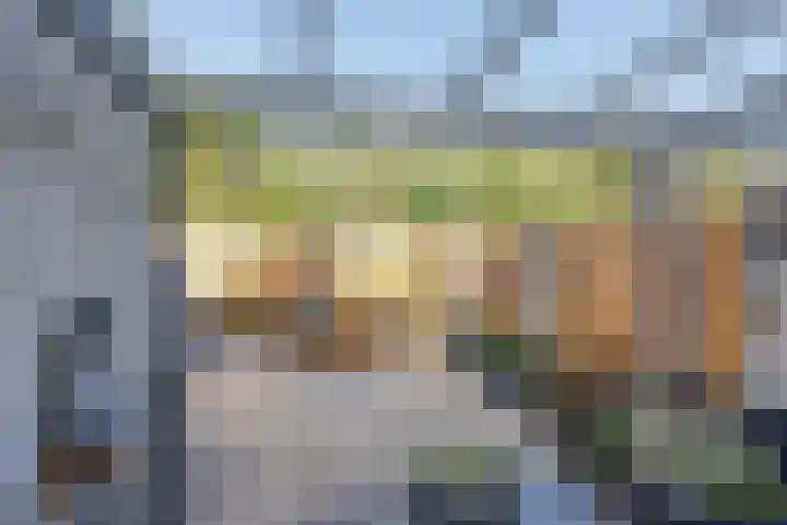 Sneeuwheide 36 Helmond thumbnail 36