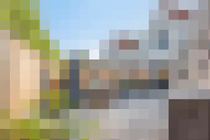 Sneeuwheide 36 Helmond thumbnail 41