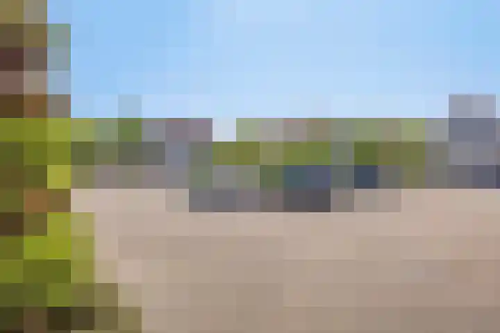 Sneeuwheide 36 Helmond thumbnail 42