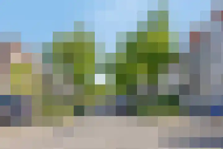 Sneeuwheide 36 Helmond thumbnail 43