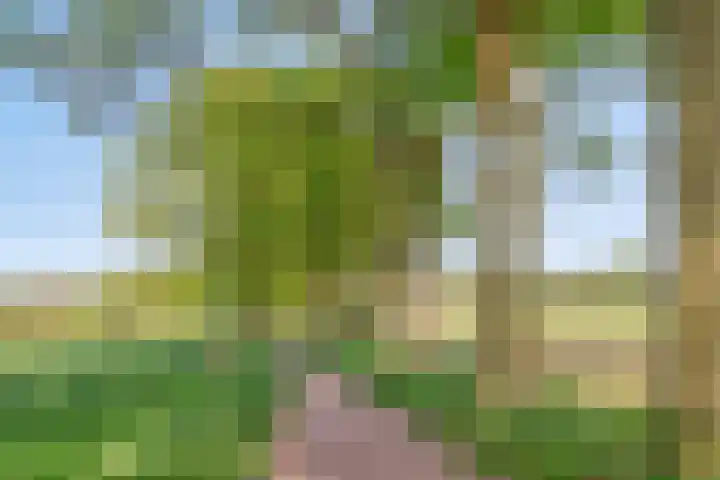 Sneeuwheide 36 Helmond thumbnail 46