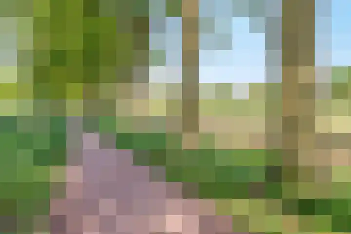 Sneeuwheide 36 Helmond thumbnail 47
