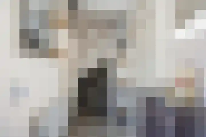 Sneeuwheide 36 Helmond thumbnail 9