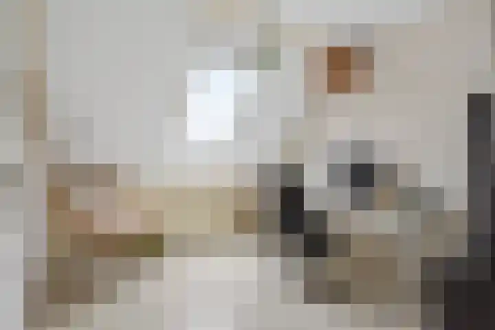 Sneeuwwit 22 Zoetermeer thumbnail 17