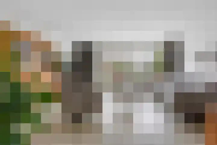 Sneeuwwit 22 Zoetermeer thumbnail 4