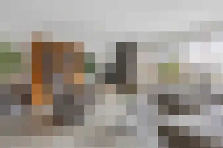 Sneeuwwit 22 Zoetermeer thumbnail 5