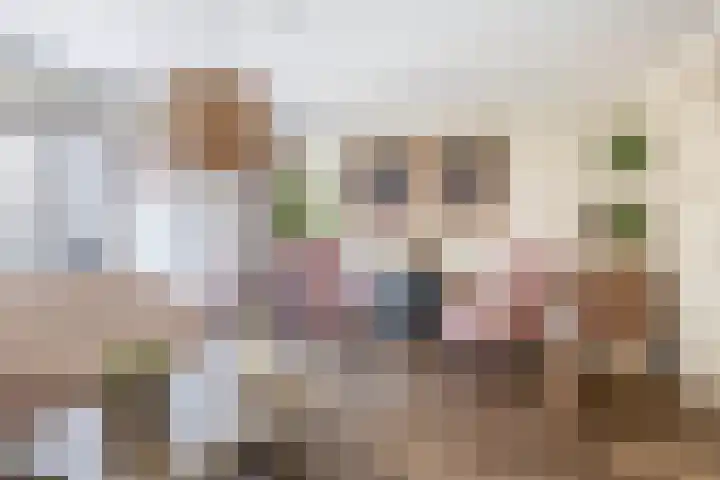 Sneeuwwit 3 Zoetermeer thumbnail 12