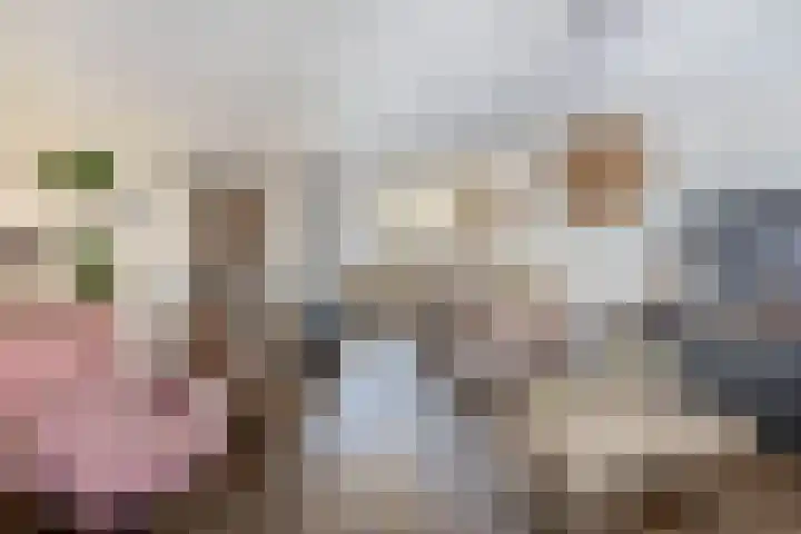 Sneeuwwit 3 Zoetermeer thumbnail 13
