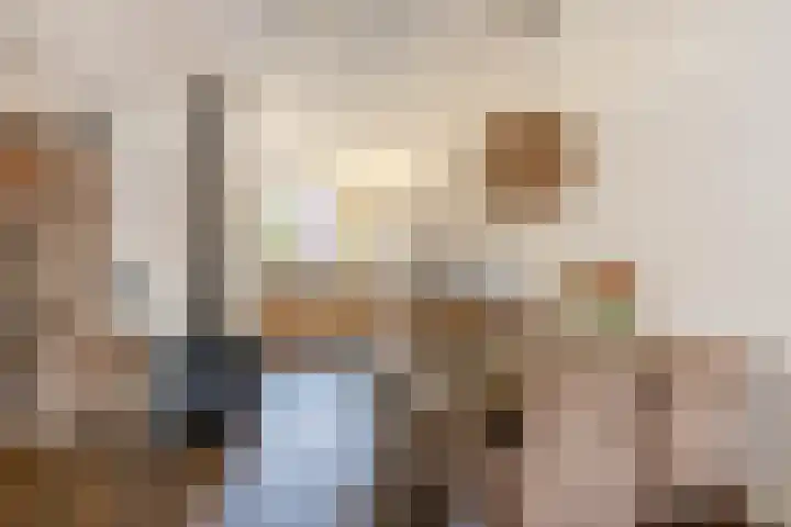 Sneeuwwit 3 Zoetermeer thumbnail 17