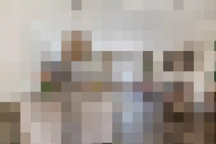 Sneeuwwit 3 Zoetermeer thumbnail 18