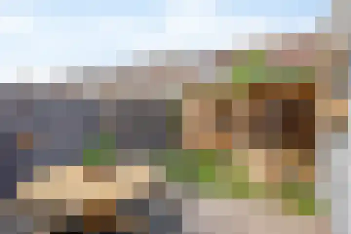 Sneeuwwit 3 Zoetermeer thumbnail 19